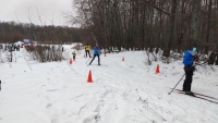 Кубок области и городские соревнования "Спорт для всех" по спортивному ориентированию